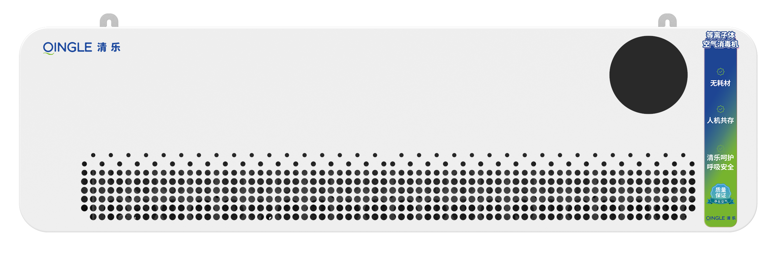 B-D550 wall-mounted plasma air disinfector